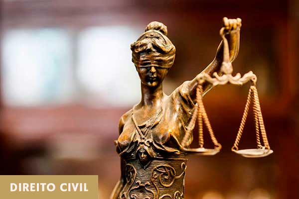 Direito Civil